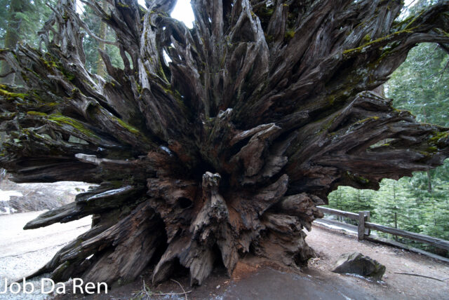 優勝美地國家公園