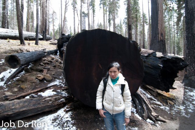 優勝美地國家公園