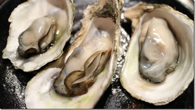 oyster-989182_1280