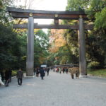 東京自由行第二天行程：明治神宮、原宿、新宿一日遊