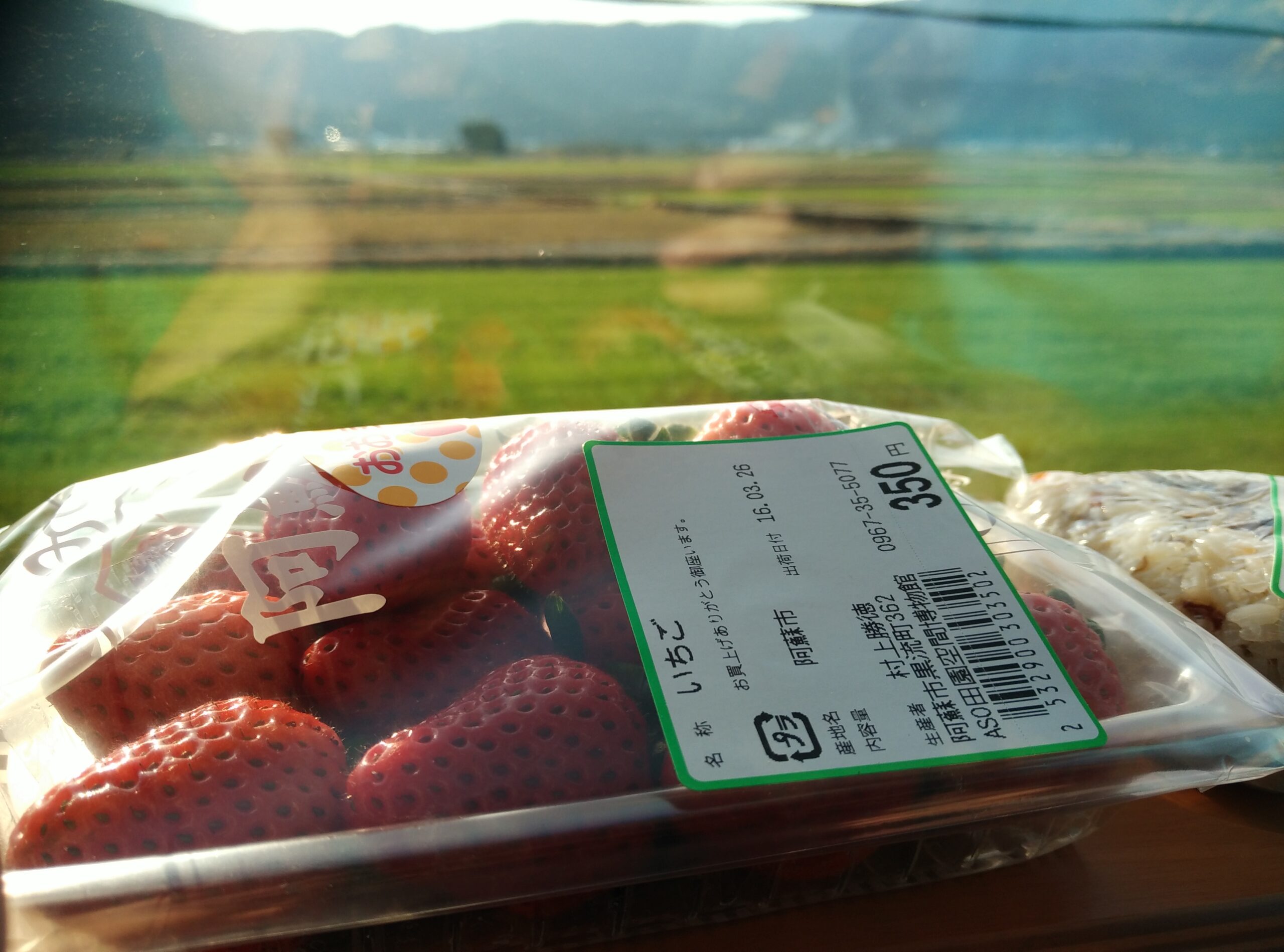 熊本縣當季產鮮紅草莓
